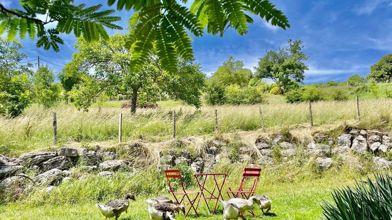 Photo of Outdoor in Saint-Appolinard