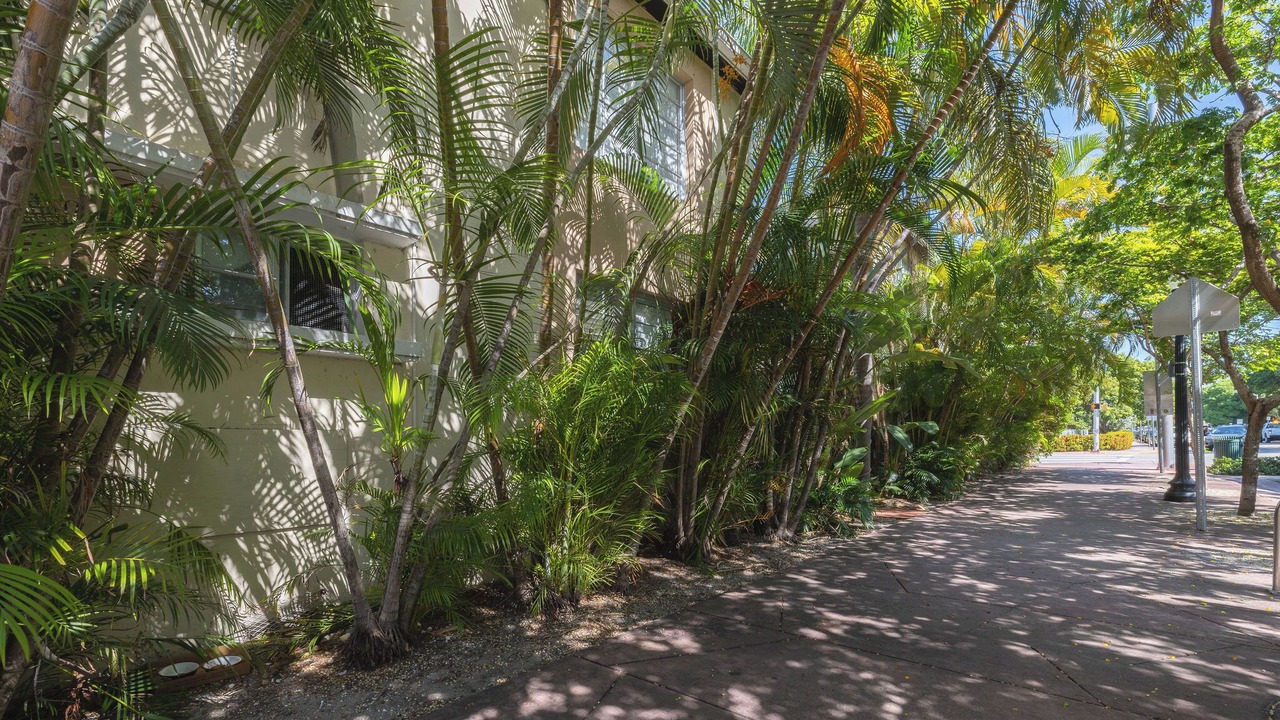 Photo of Outdoor in South Beach