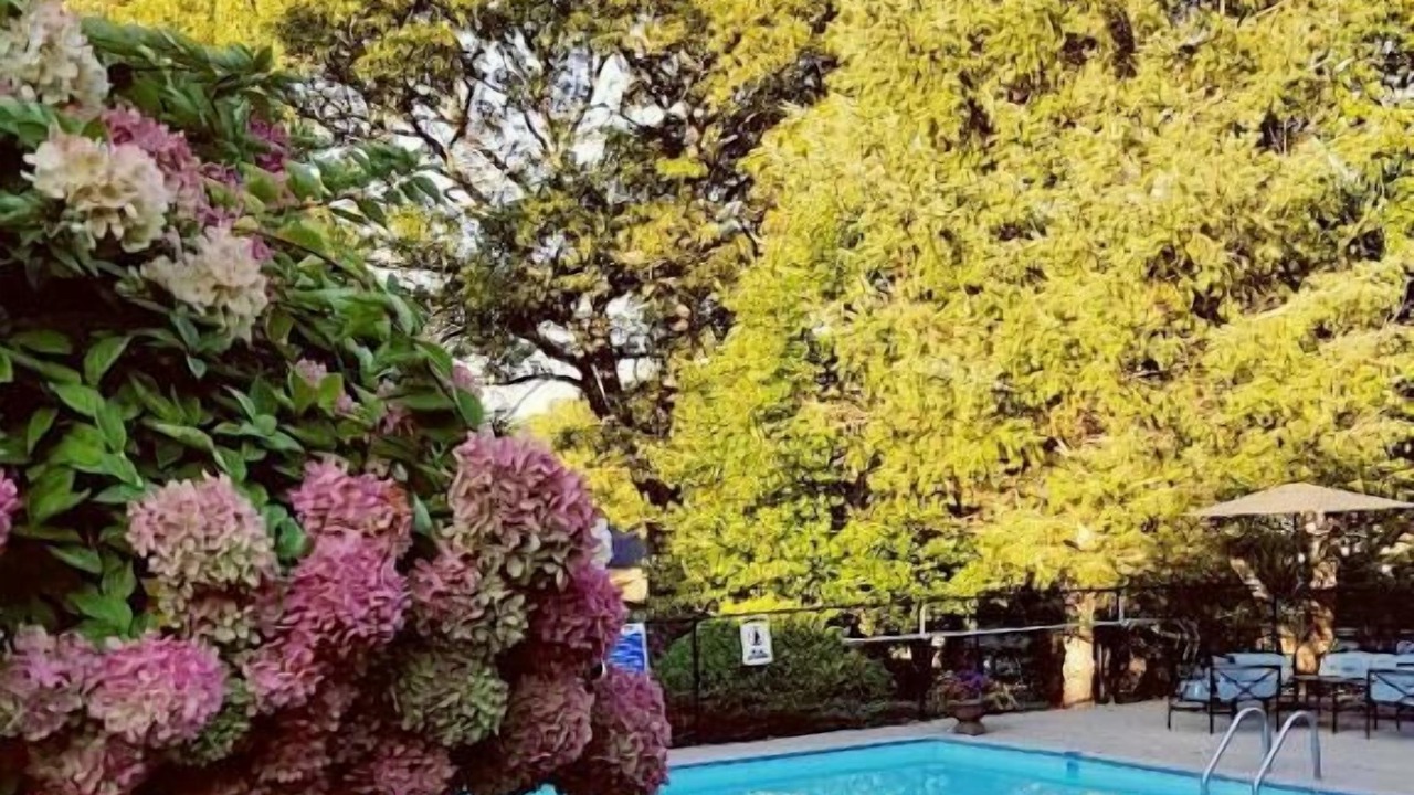 Photo of Outdoor in Dennis