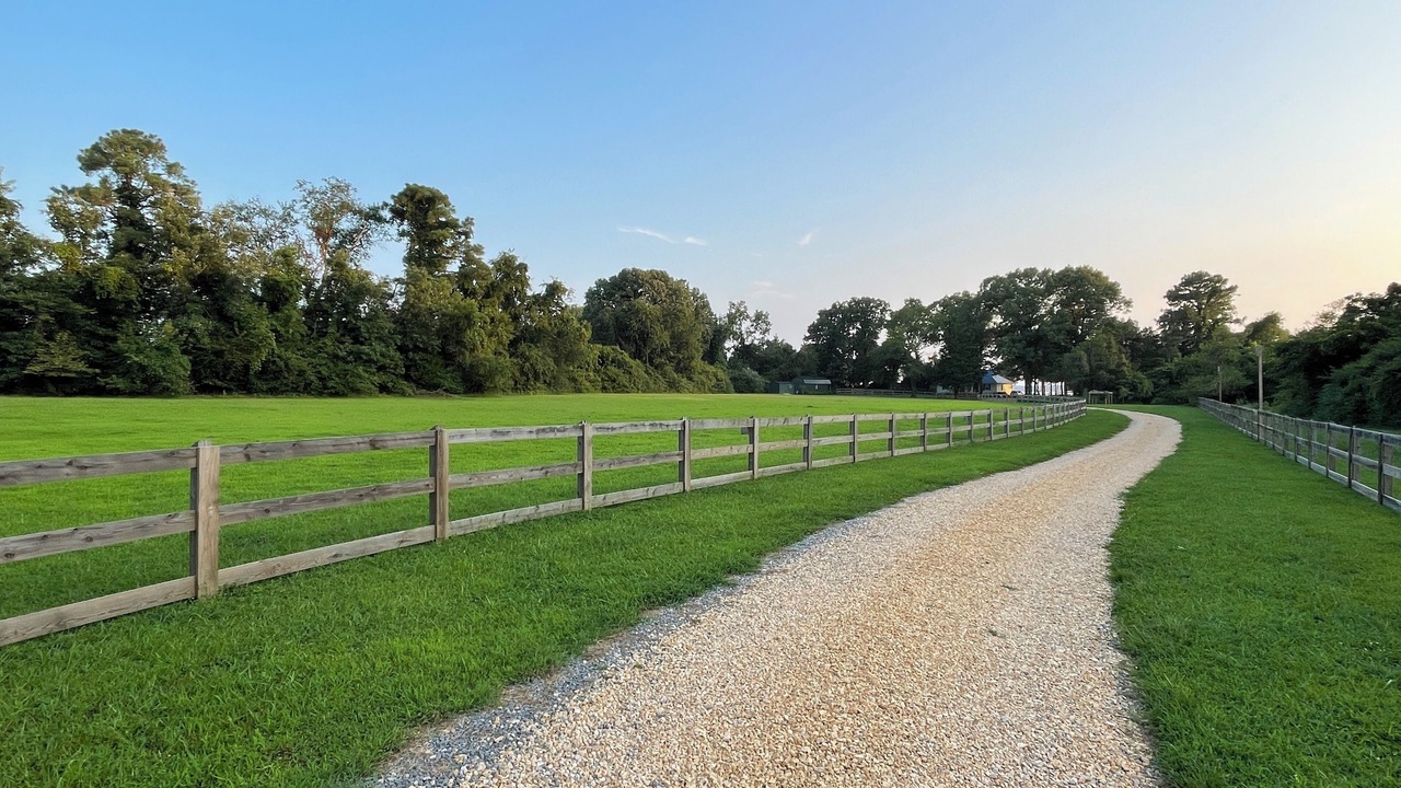 Photo of Outdoor in White Stone