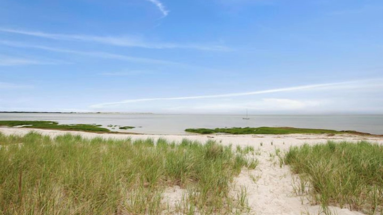 Photo of Others in Barnstable