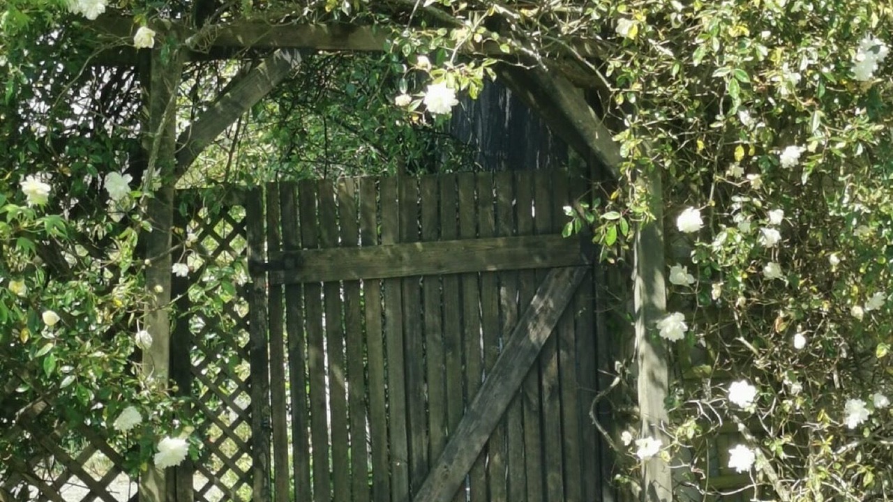 Photo of Outdoor in Langourla