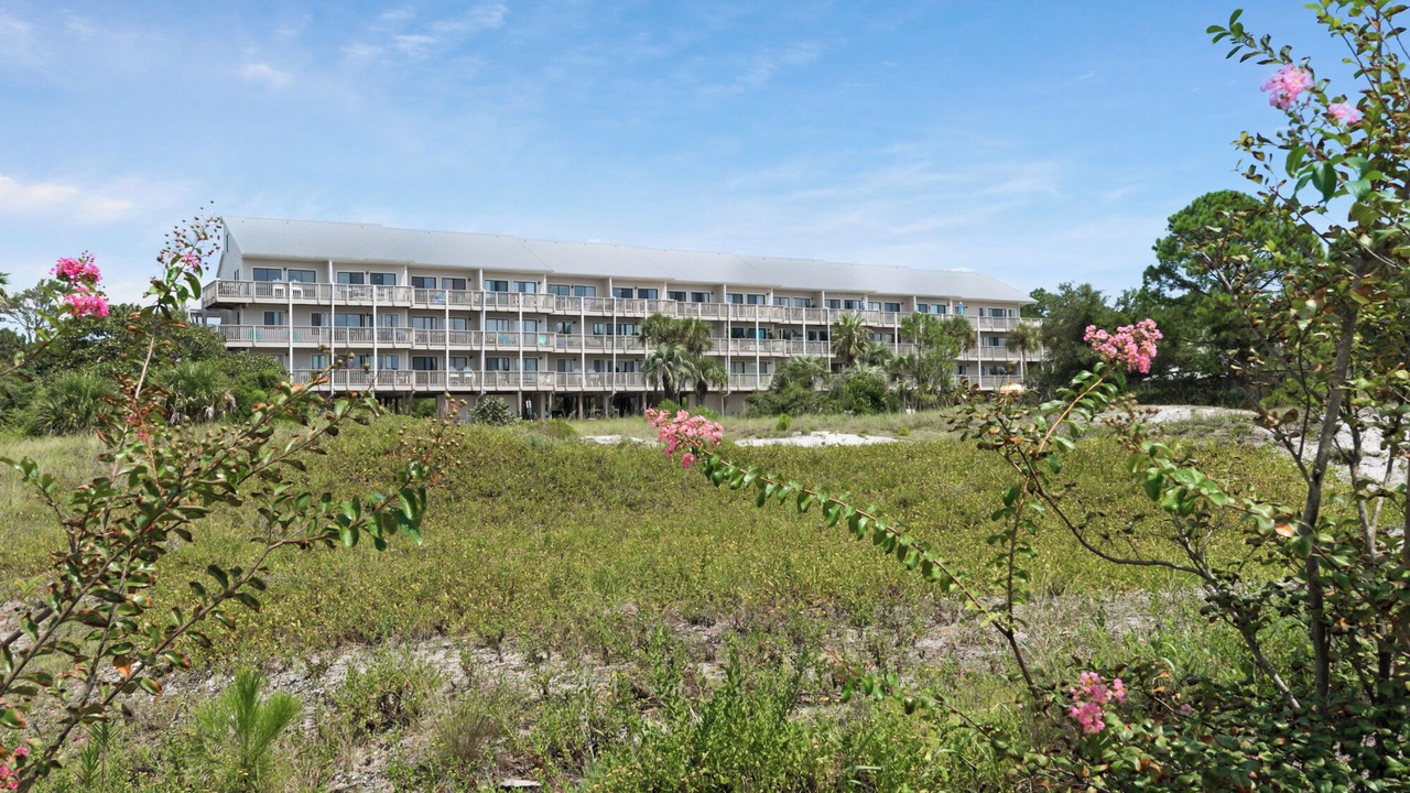 Photo of Outdoor in Seagrove Beach