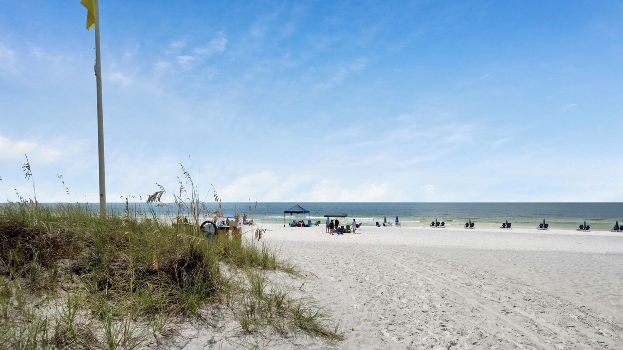 Photo of Others in Seagrove Beach
