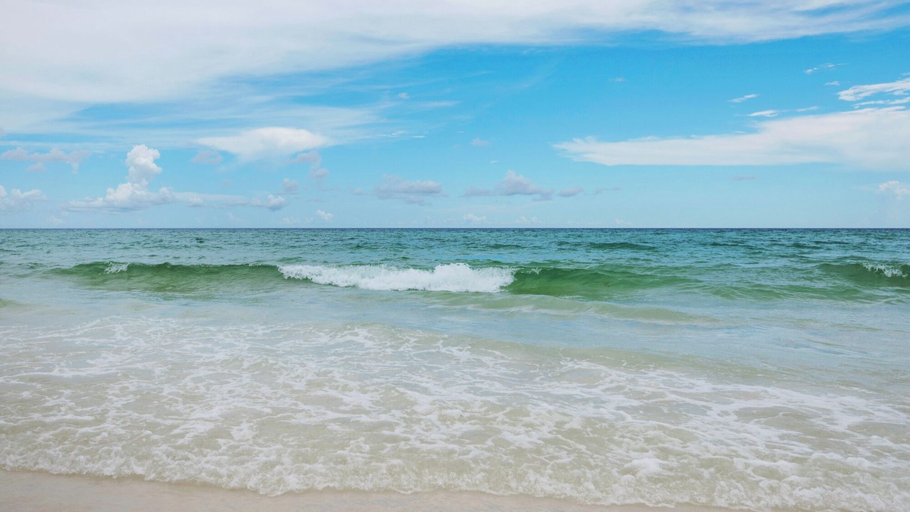 Photo of Others in Seagrove Beach
