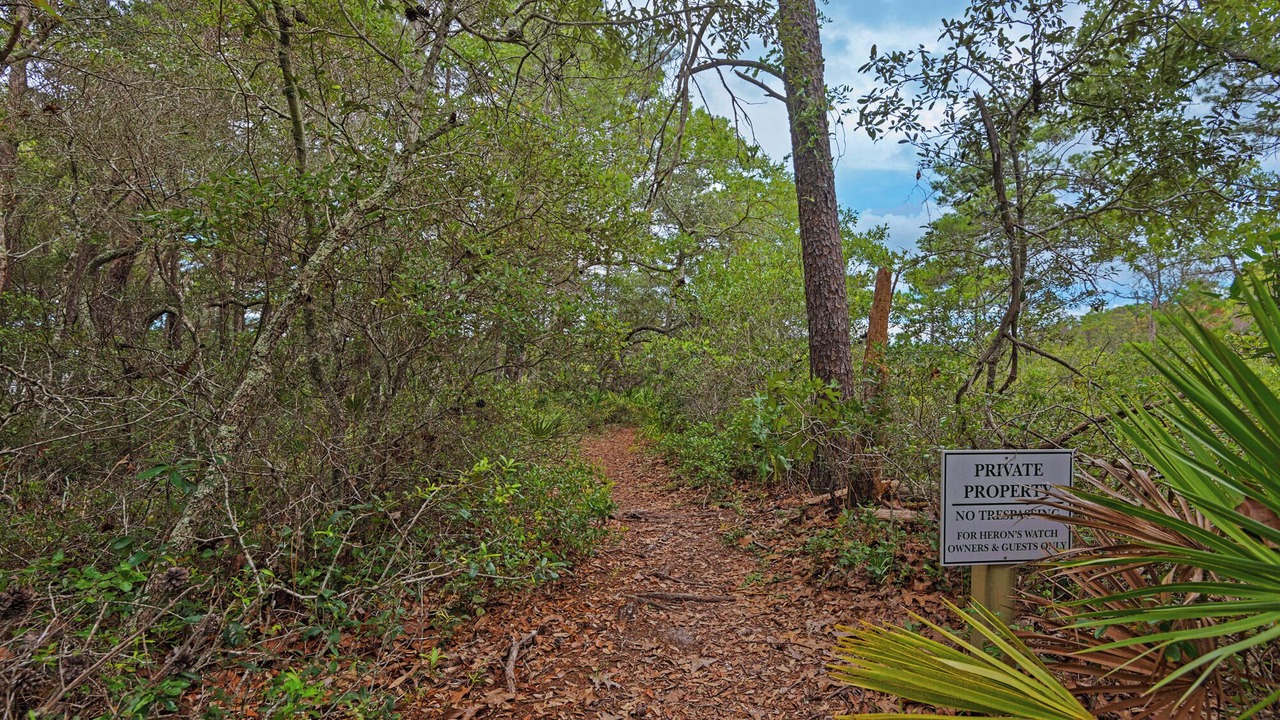 Photo of Outdoor in Seagrove Beach
