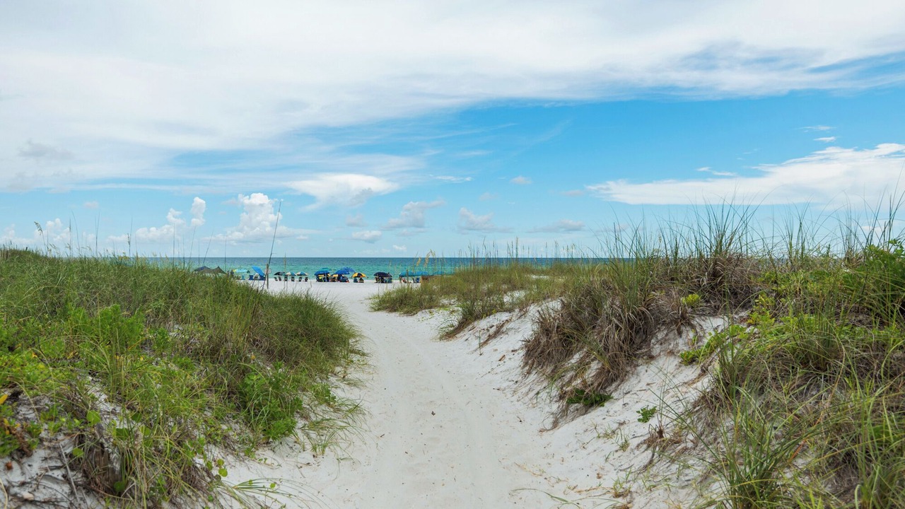 Photo of Others in Seagrove Beach