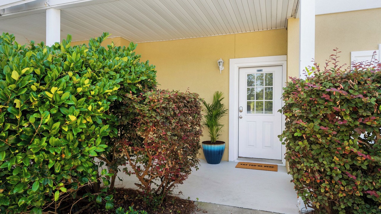 Photo of Outdoor in Seagrove Beach