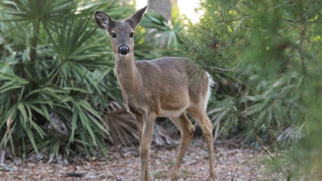 Photo of Others in Rosemary Beach