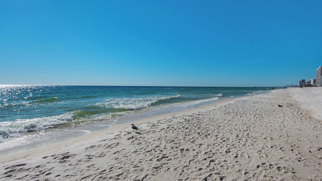 Photo of Others in Rosemary Beach