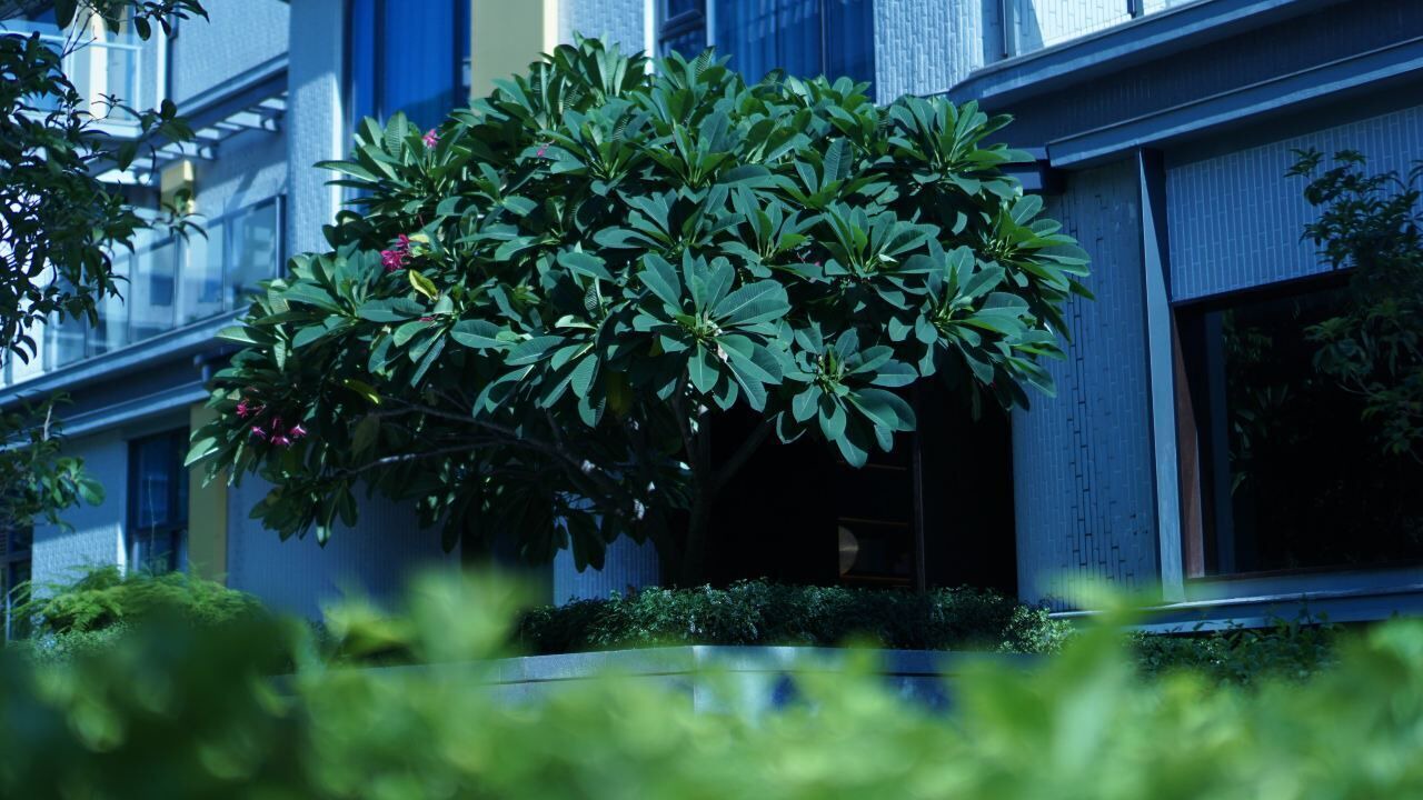 Photo of Outdoor in Hengqin