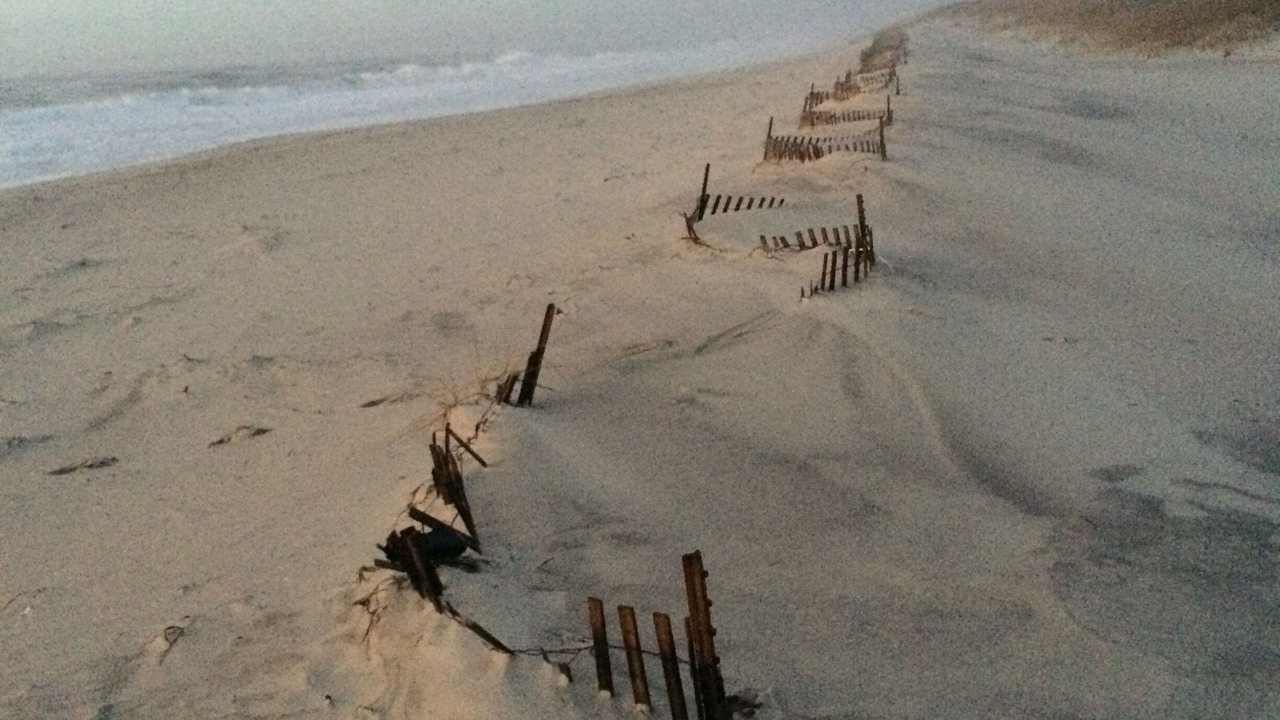 Photo of Others in Bellport
