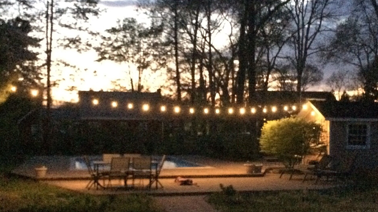 Photo of Outdoor in Bellport