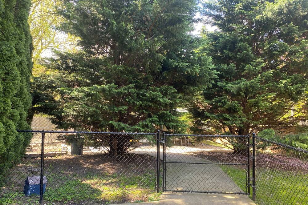 Photo of Outdoor in East Shoreham