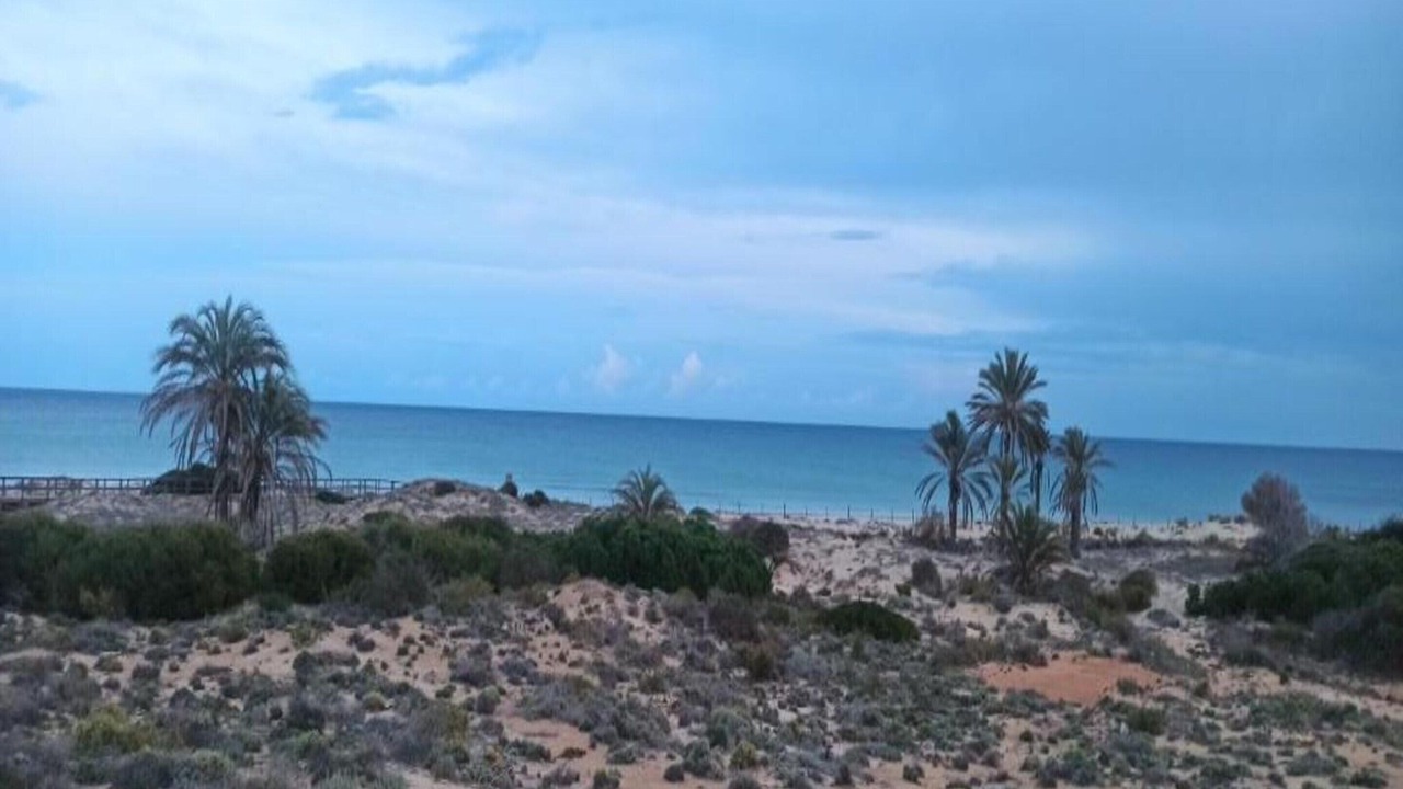 Photo of Others in Gran Alacant