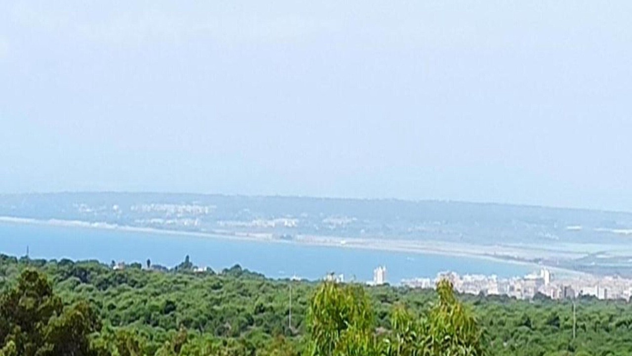 Photo of Others in Gran Alacant