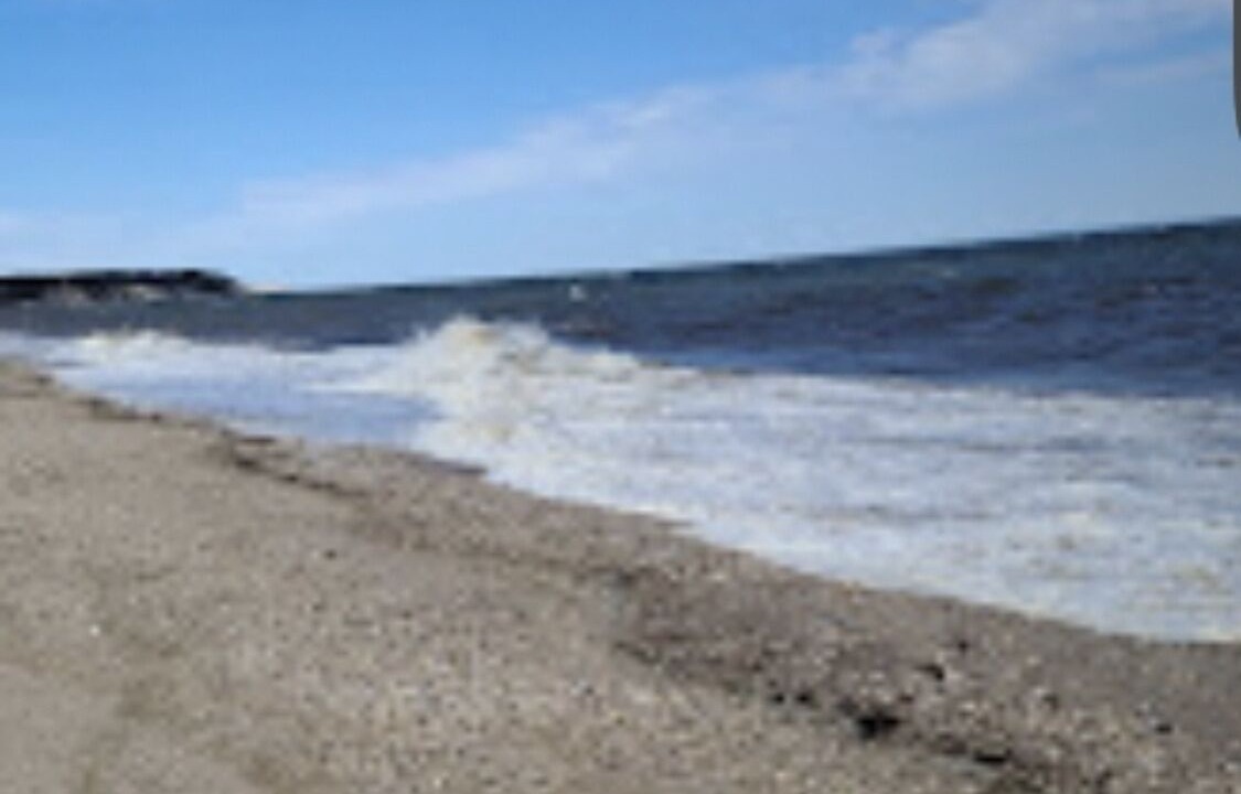 Photo of Others in Sound Beach