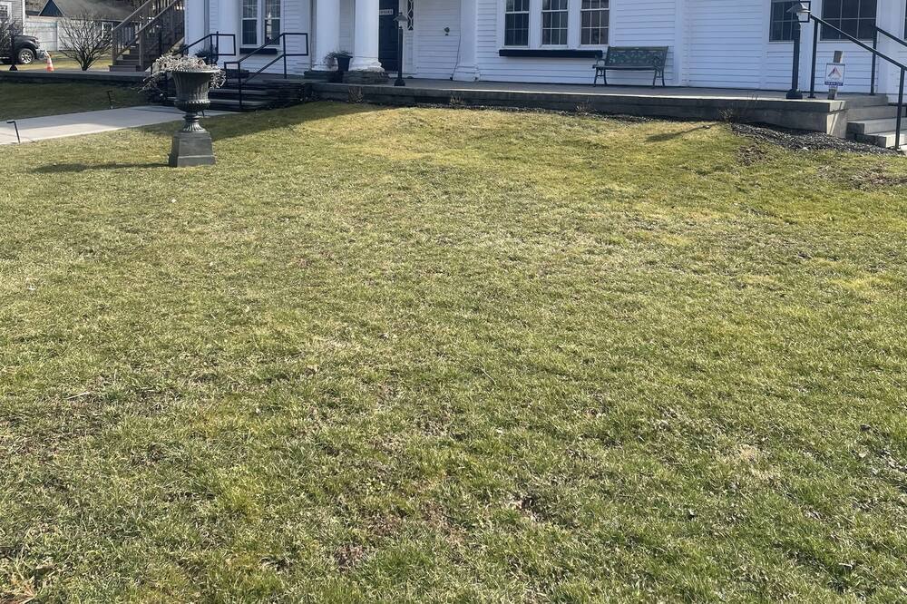 Photo of Outdoor in South Kortright