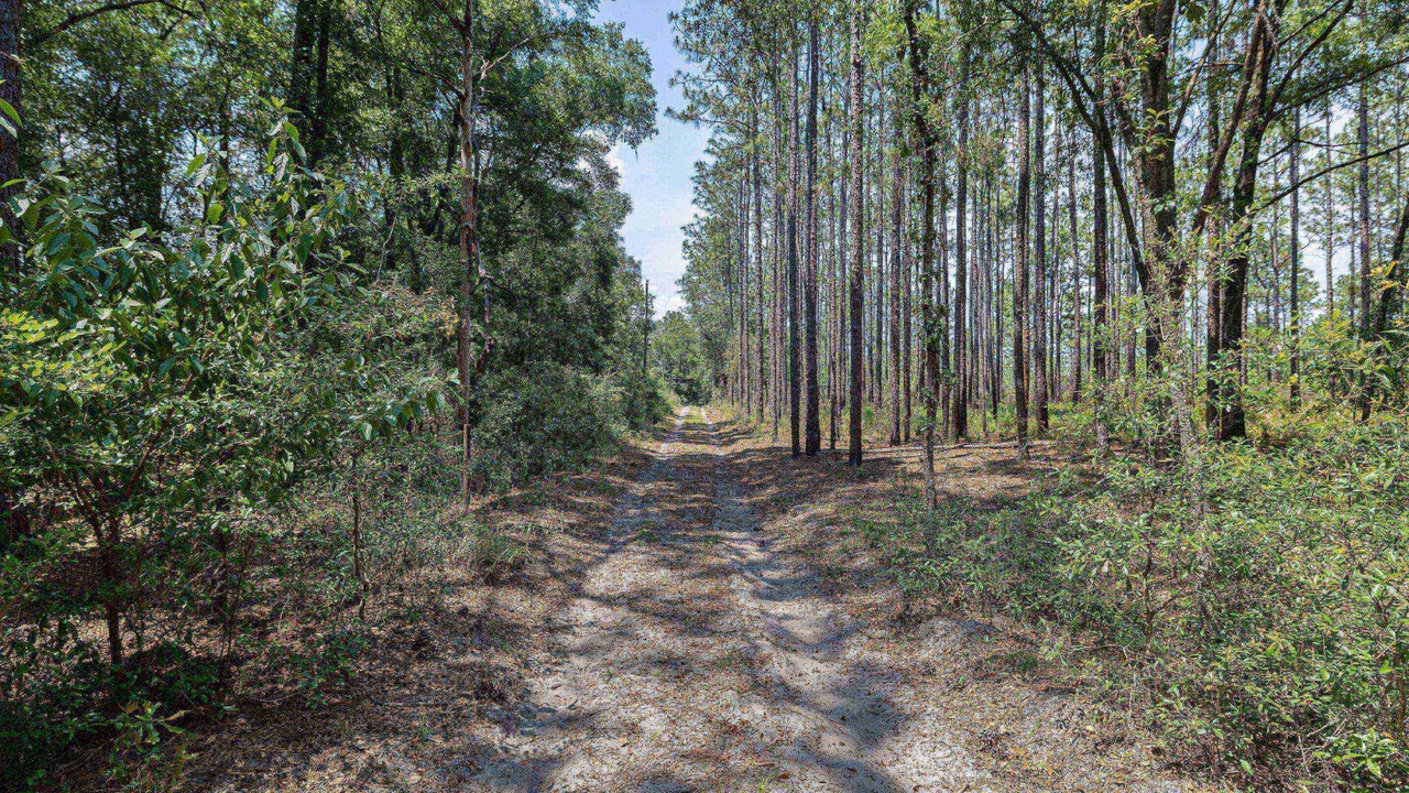 Photo of Outdoor in Brooksville