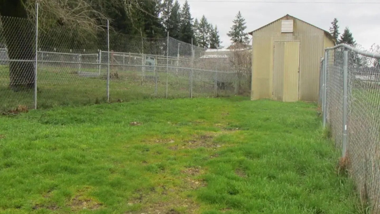 Photo of Outdoor in McKenna