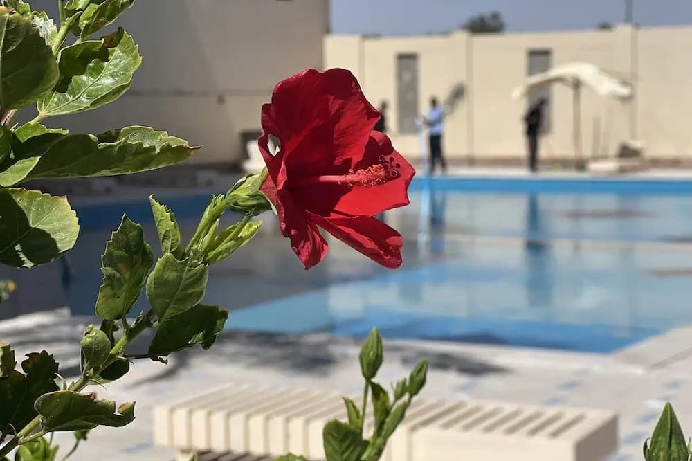 Photo of Outdoor in Al Mamsha El Seyahi
