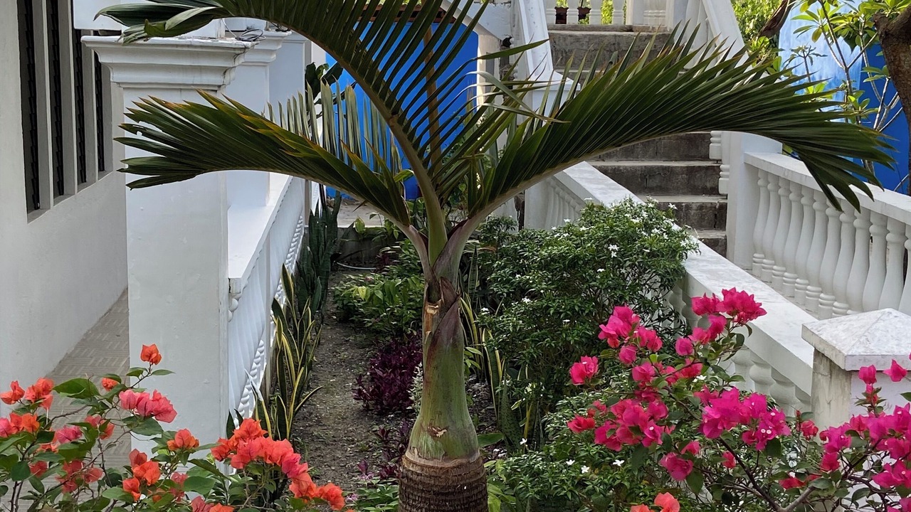Photo of Bedroom in Moalboal