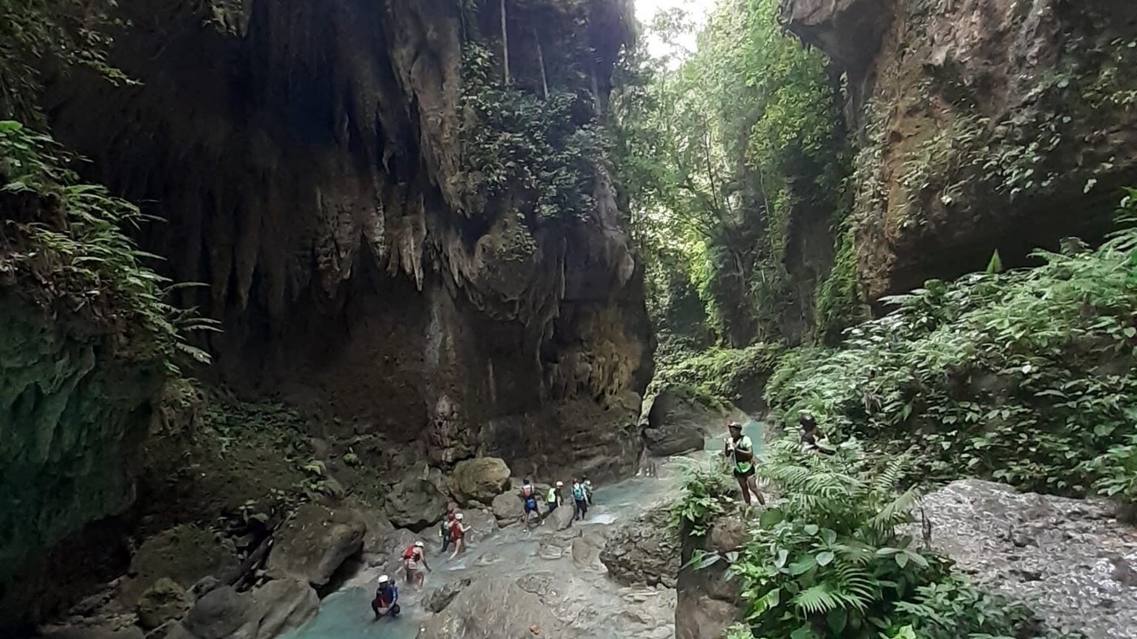 Photo of Others in Moalboal