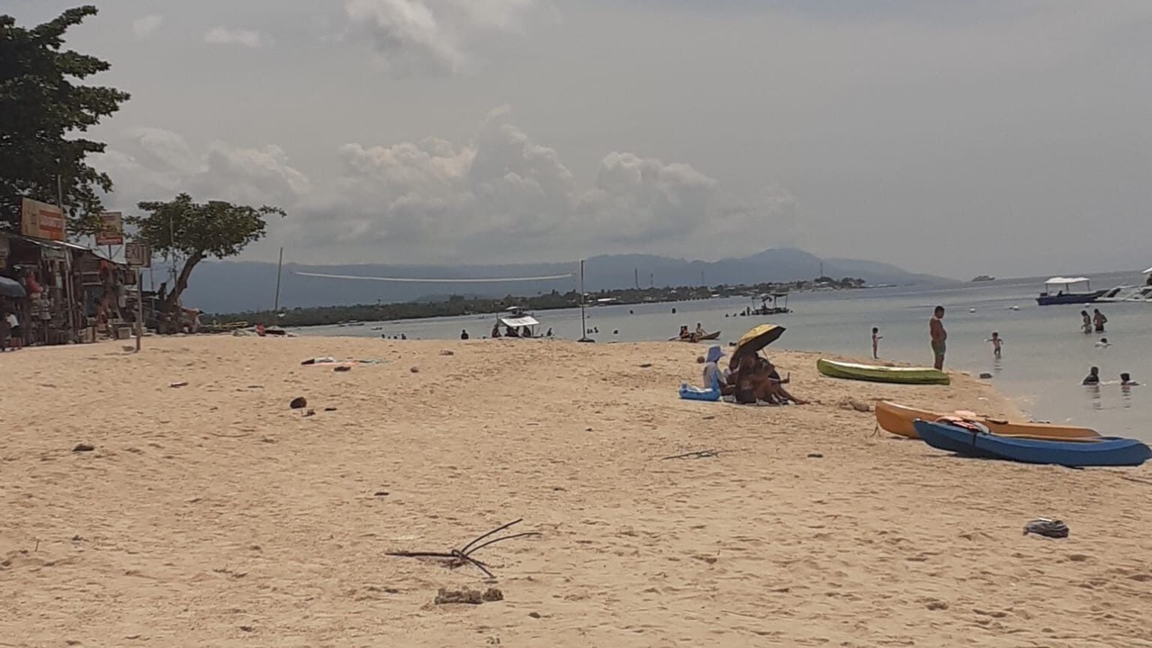 Photo of Others in Moalboal
