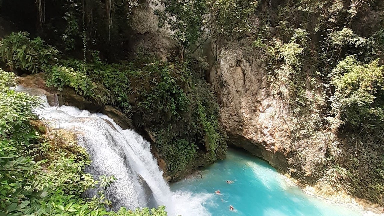 Photo of Others in Moalboal