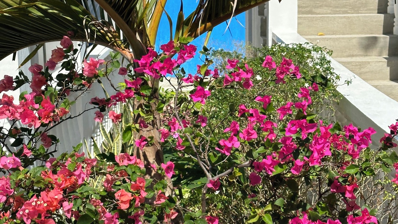 Photo of Bedroom in Moalboal