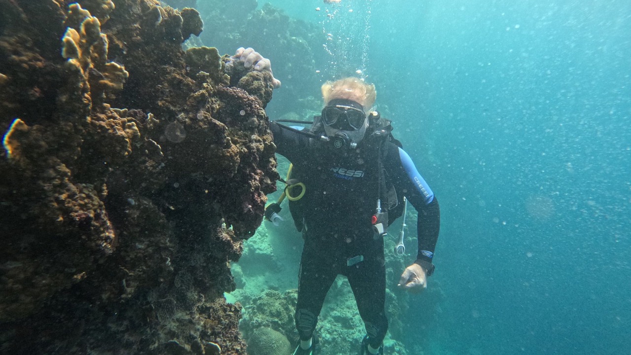 Photo of Others in Moalboal