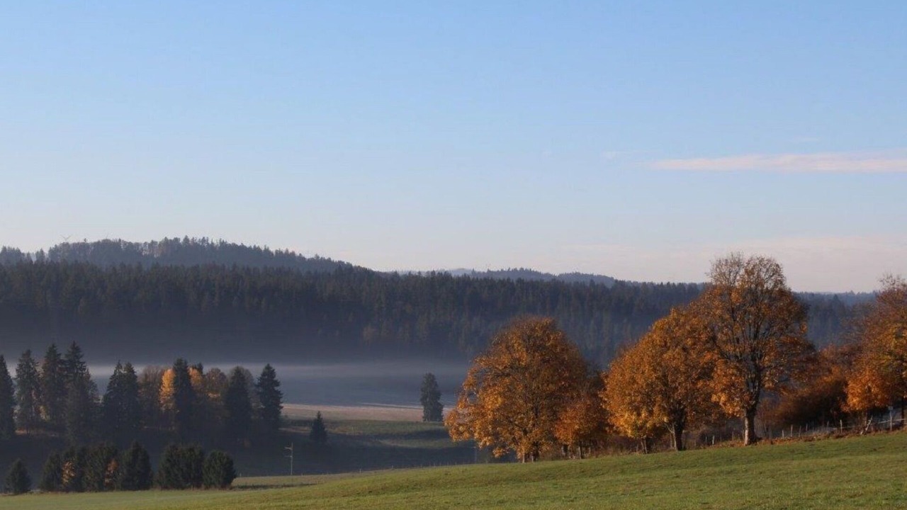 Photo of Outdoor in Montfaucon