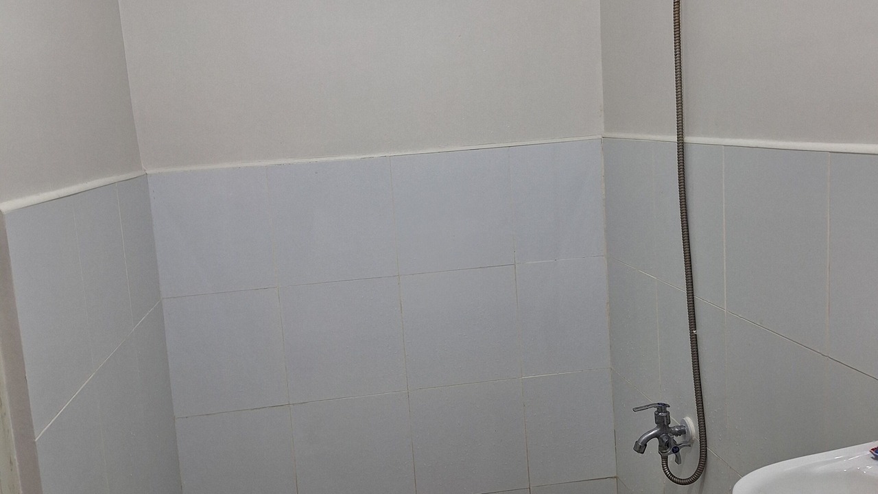 Photo of Bathroom in Basak