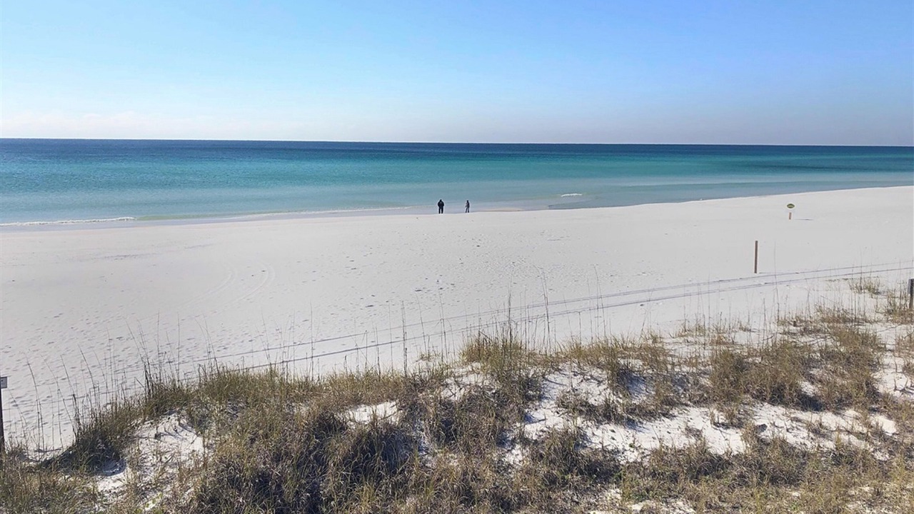 Photo of Others in White's Gulfview