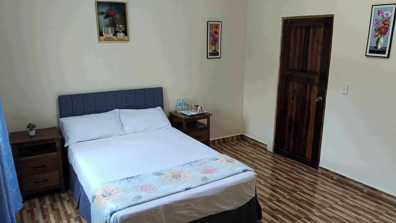 Photo of Bedroom in San Isidro
