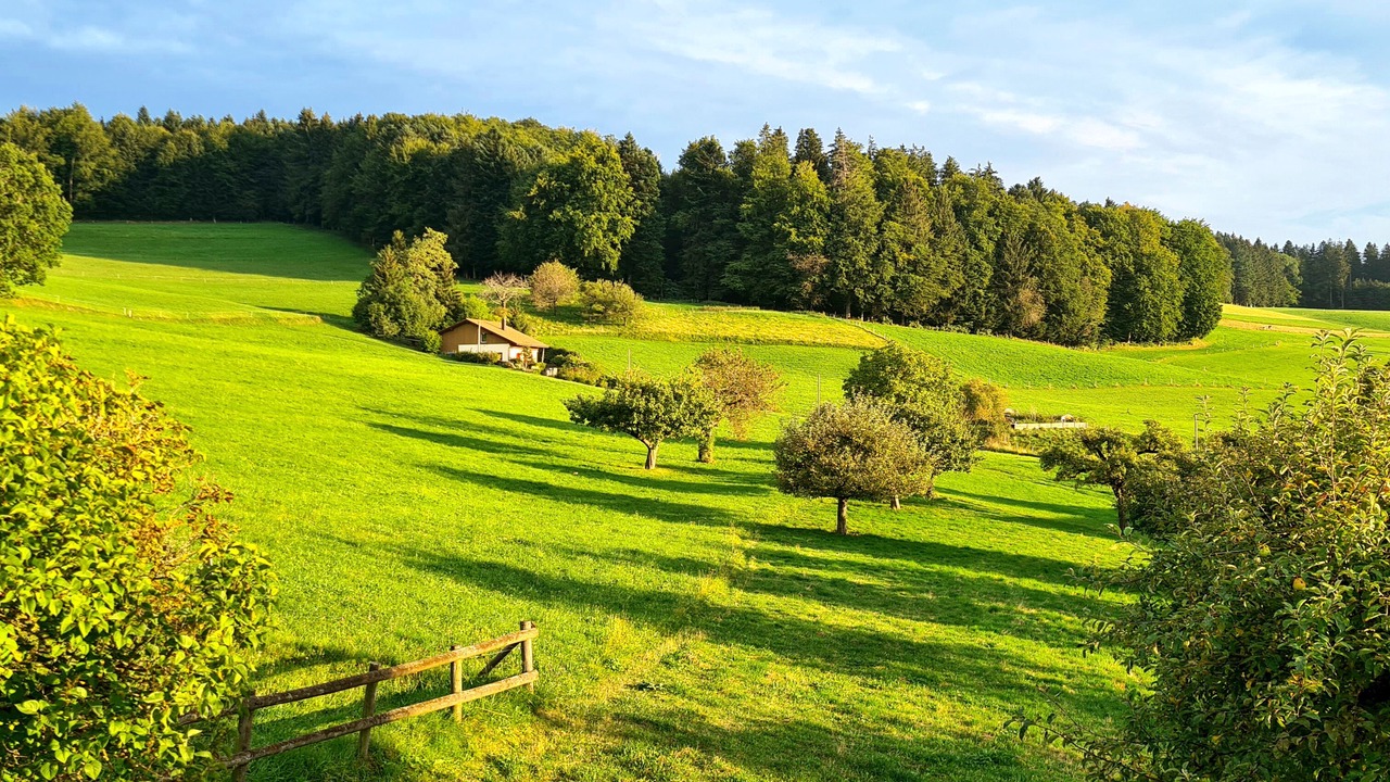 Photo of Outdoor in Siviriez