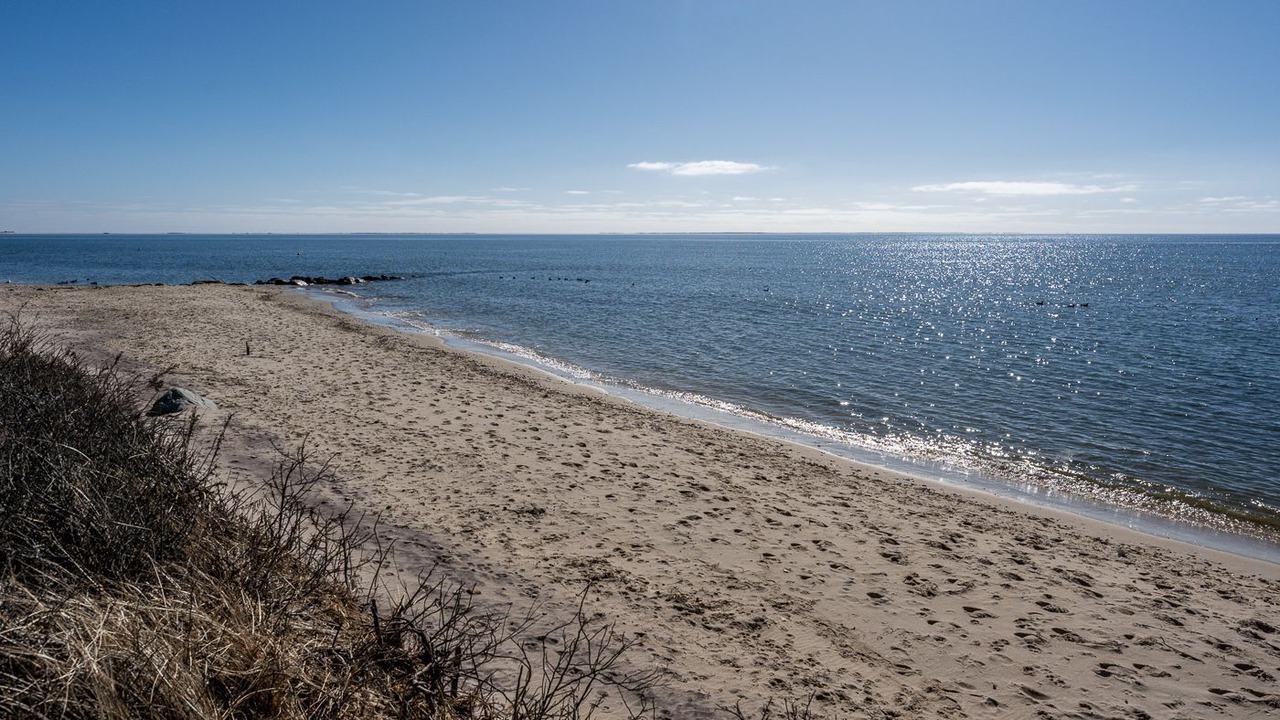 Photo of Others in South Chatham