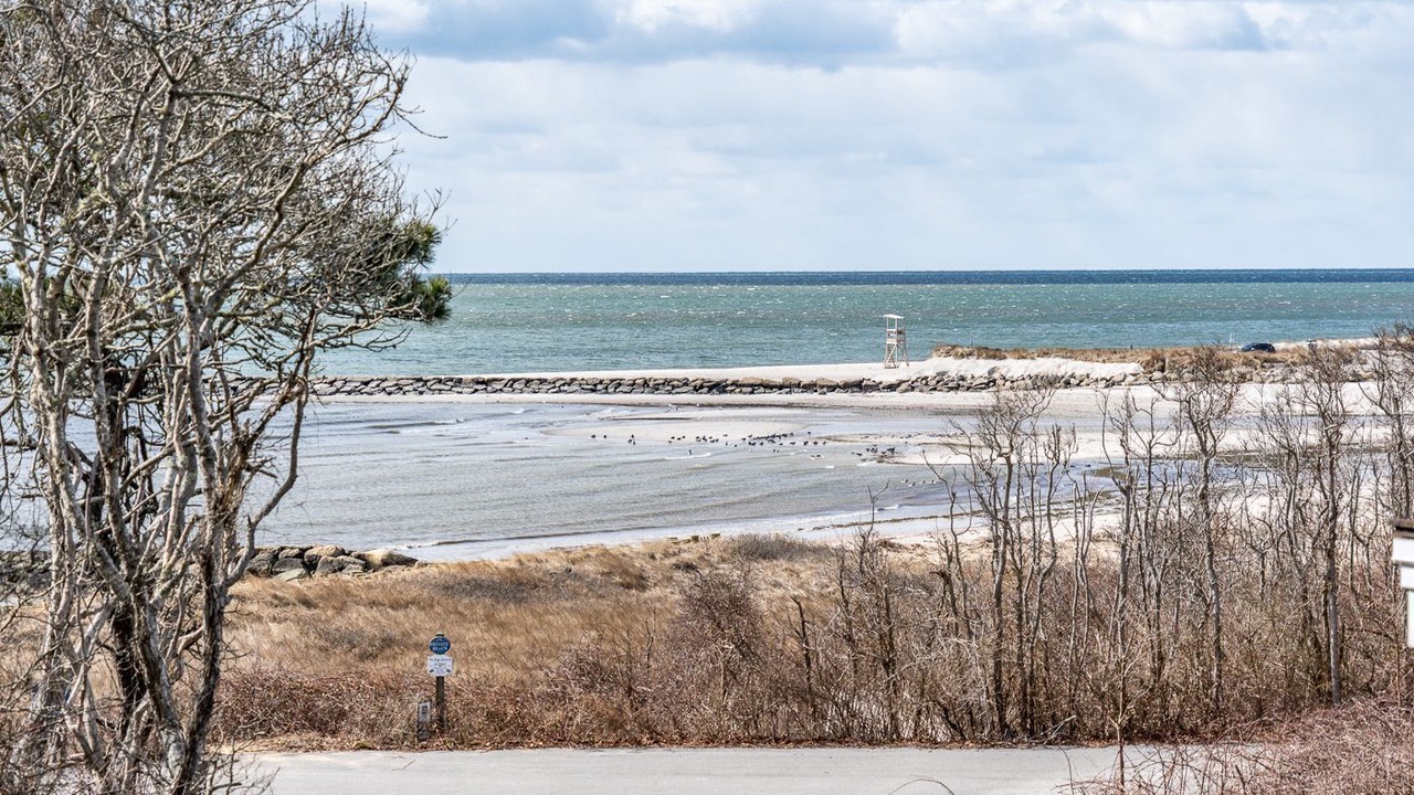 Photo of Others in South Chatham