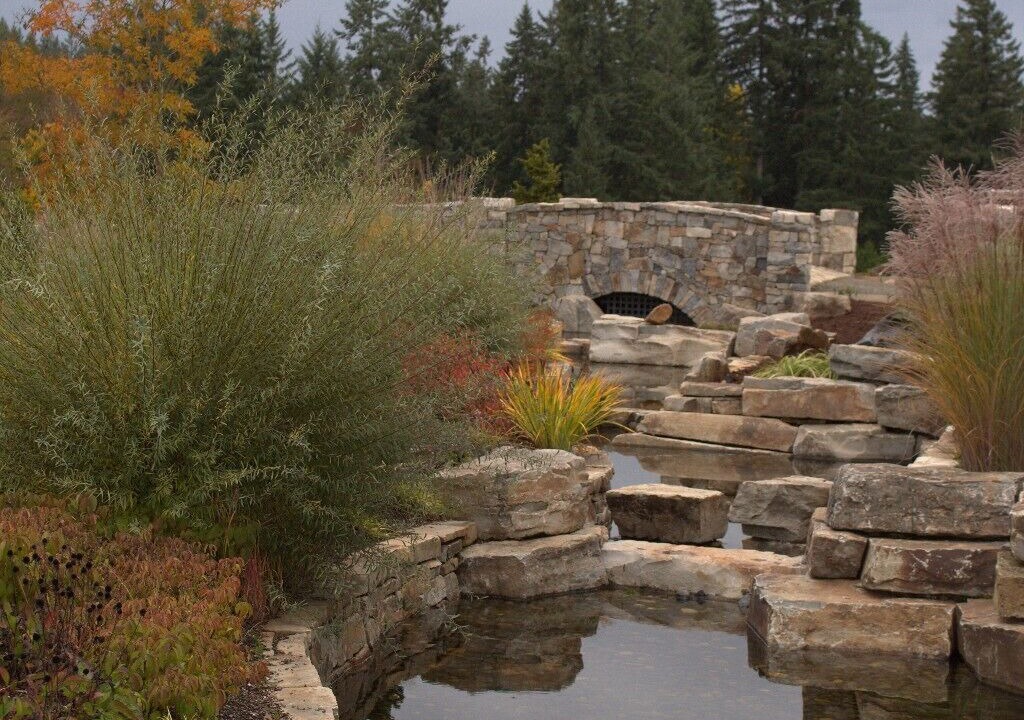 Photo of Outdoor in Carver