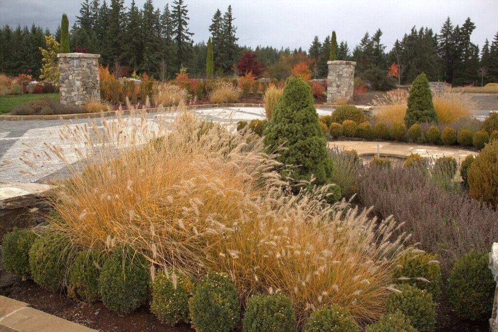 Photo of Outdoor in Carver