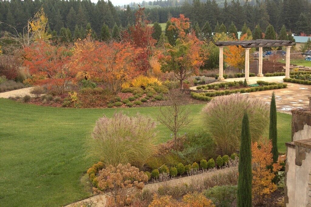 Photo of Outdoor in Carver