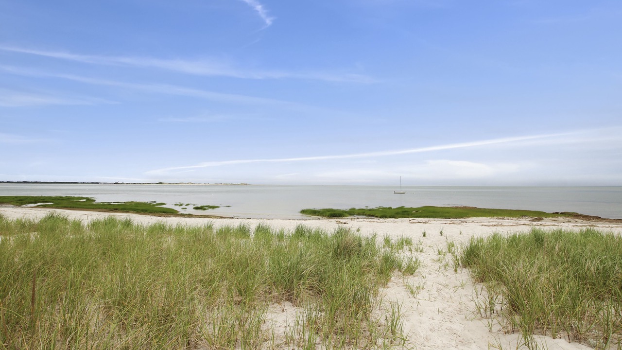 Photo of Others in Barnstable