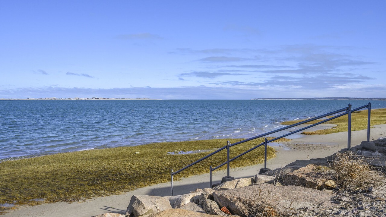 Photo of Outdoor in Barnstable
