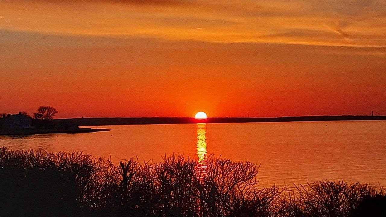 Photo of Others in Barnstable