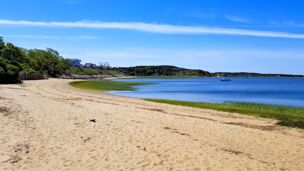 Photo of Others in Wellfleet