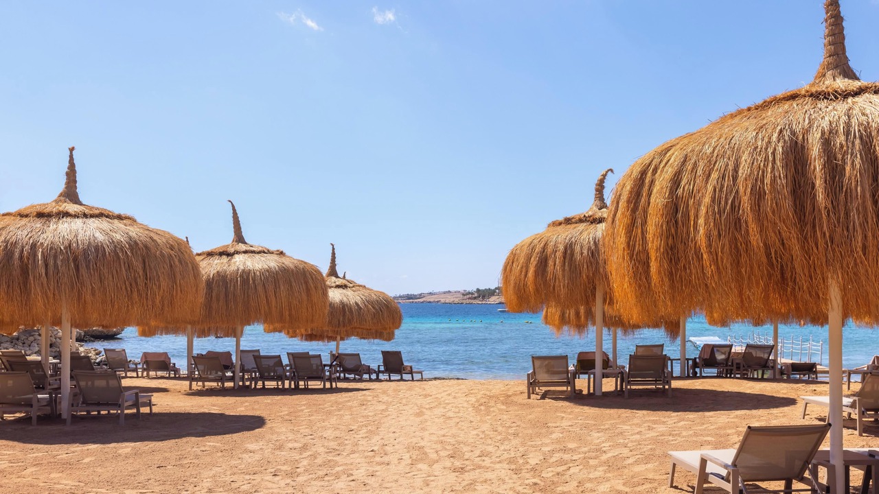 Photo of Others in Sharm El Sheikh