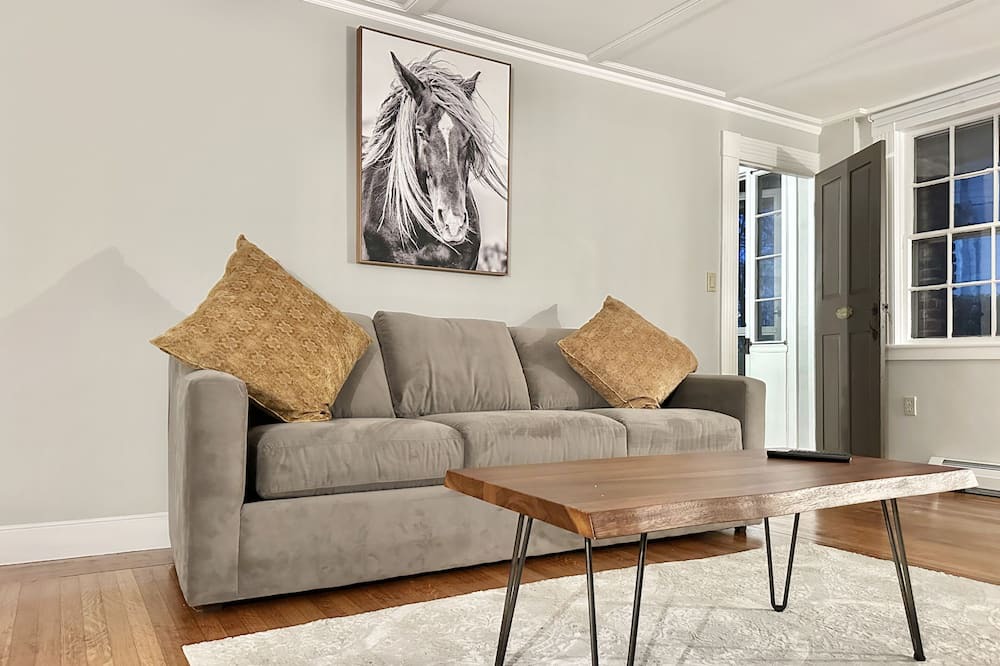 Photo of Livingroom in Newton Upper Falls