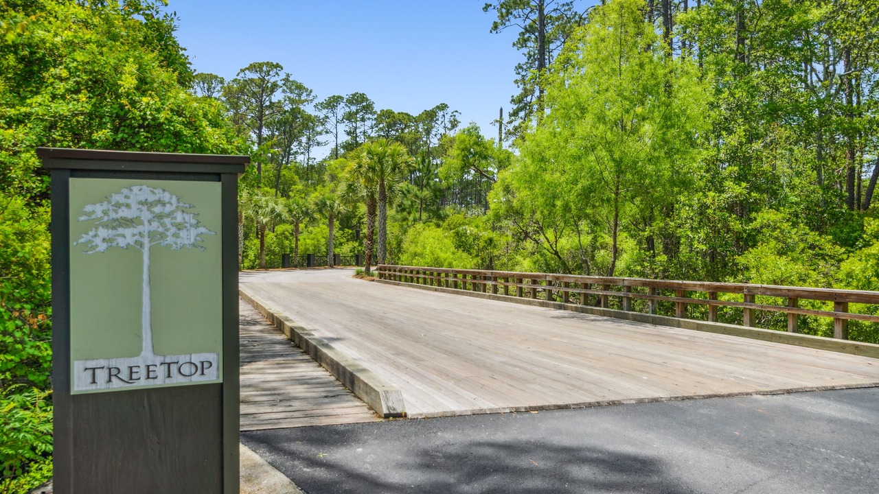 Photo of Outdoor in Treetop