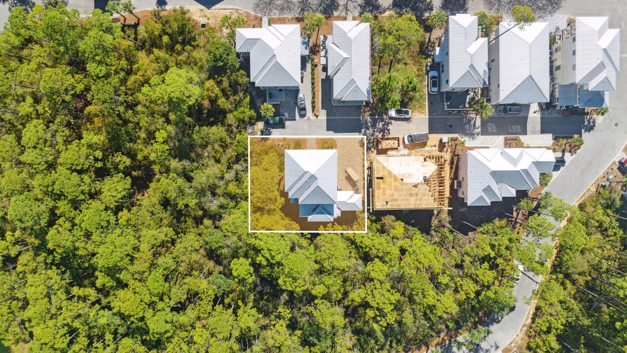 Photo of Outdoor in Treetop