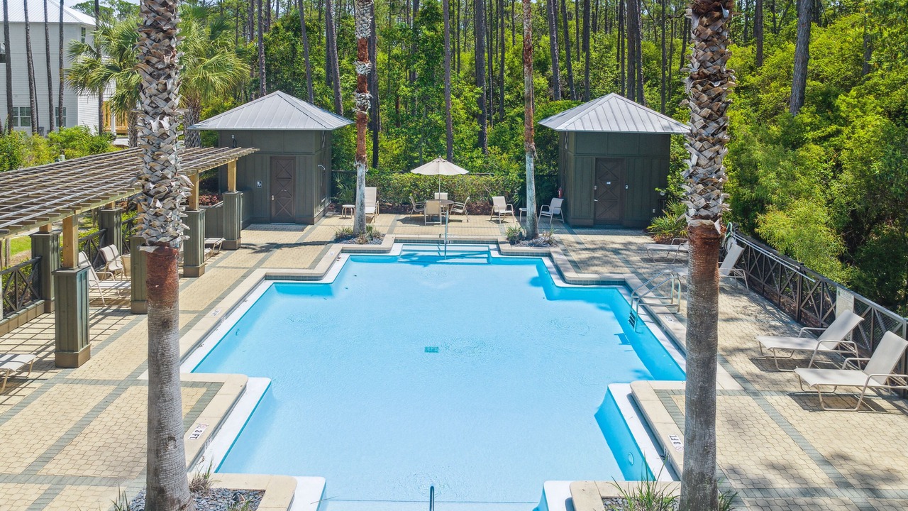 Photo of Outdoor in Treetop